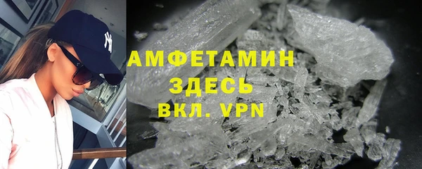 ГАЛЛЮЦИНОГЕННЫЕ ГРИБЫ Кедровый