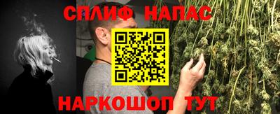 PSILOCYBIN Заводоуковск