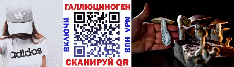 omg сайт Ишимбай Псилоцибиновые грибы мицелий