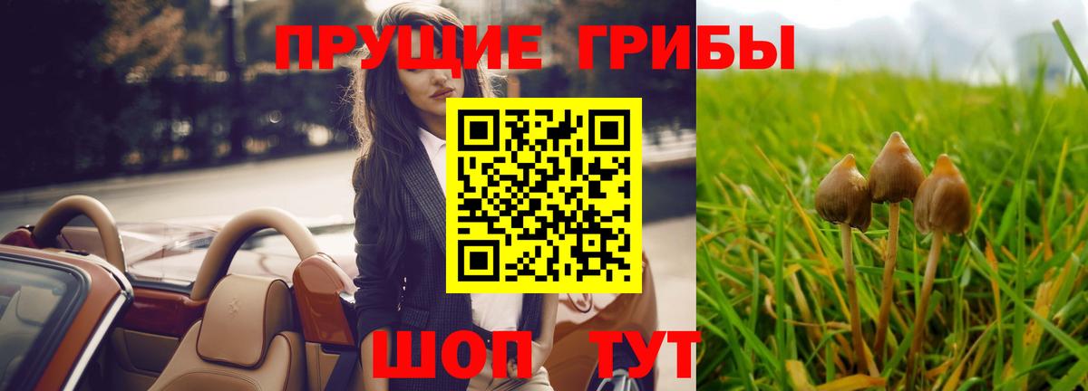 магазин    Псилоцибиновые грибы прущие грибы  Галлюциногенные грибы Cubensis  Вход с VPN  Ишимбай 